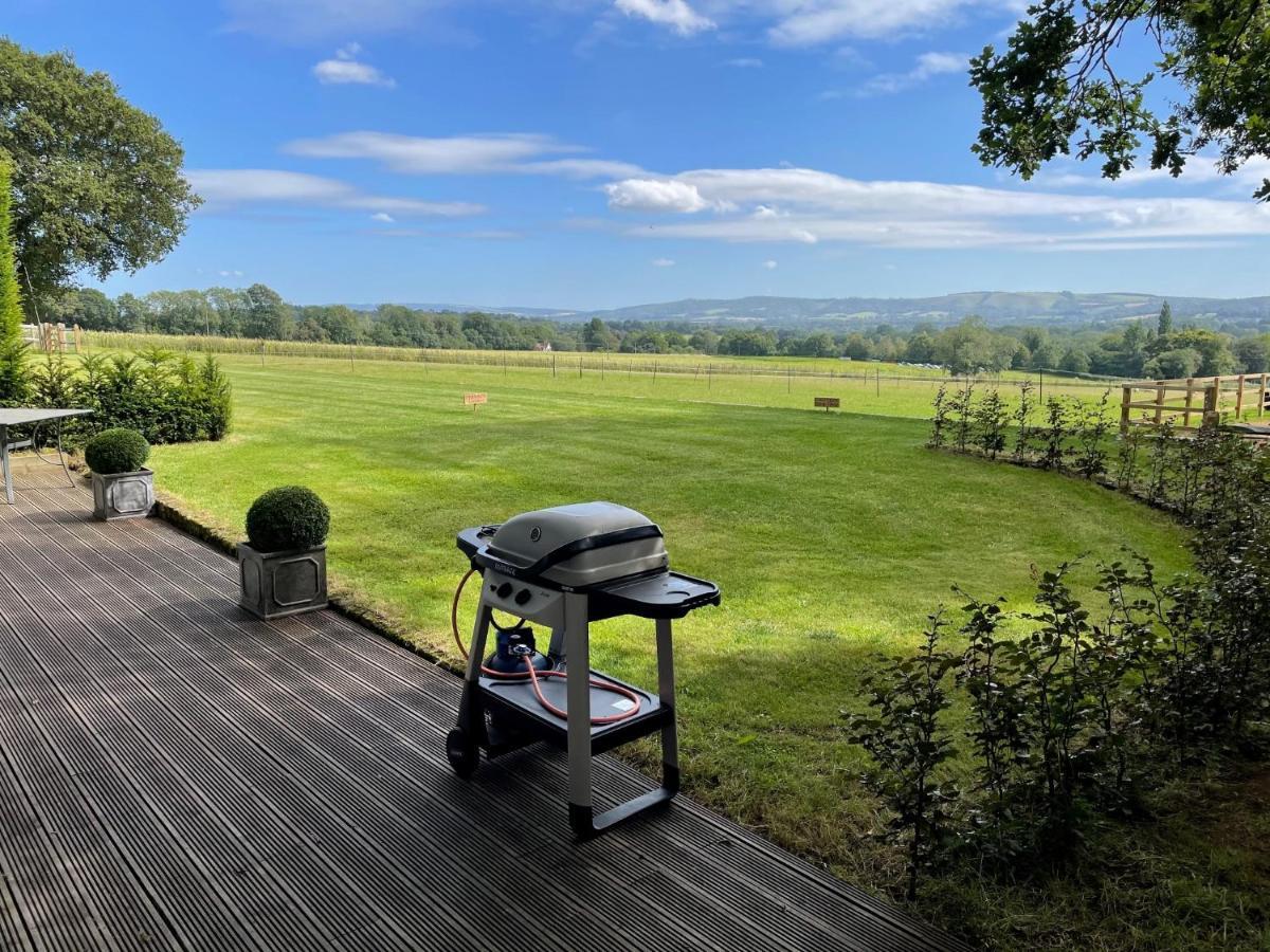Stunning Cabin With Incredible Views Near Goodwood Rogate Eksteriør bilde
