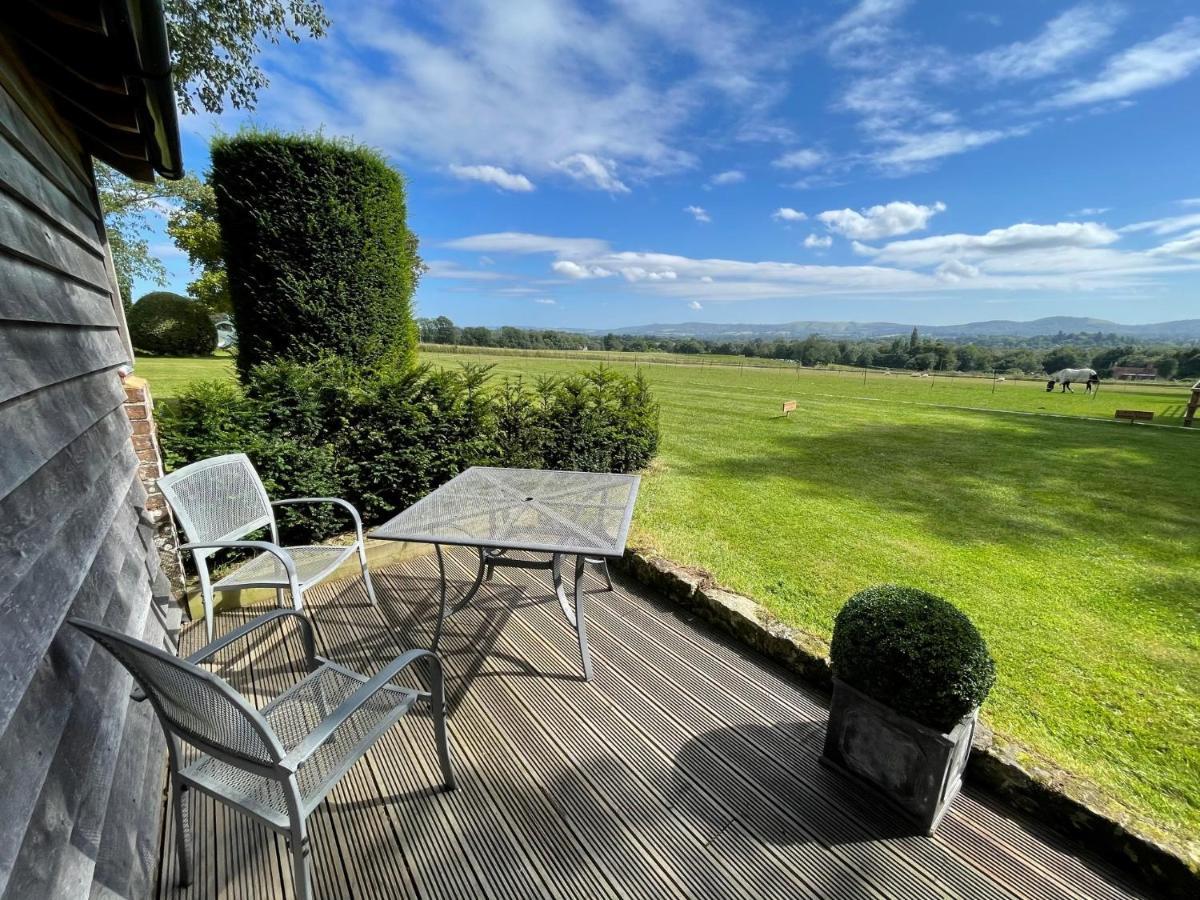 Stunning Cabin With Incredible Views Near Goodwood Rogate Eksteriør bilde