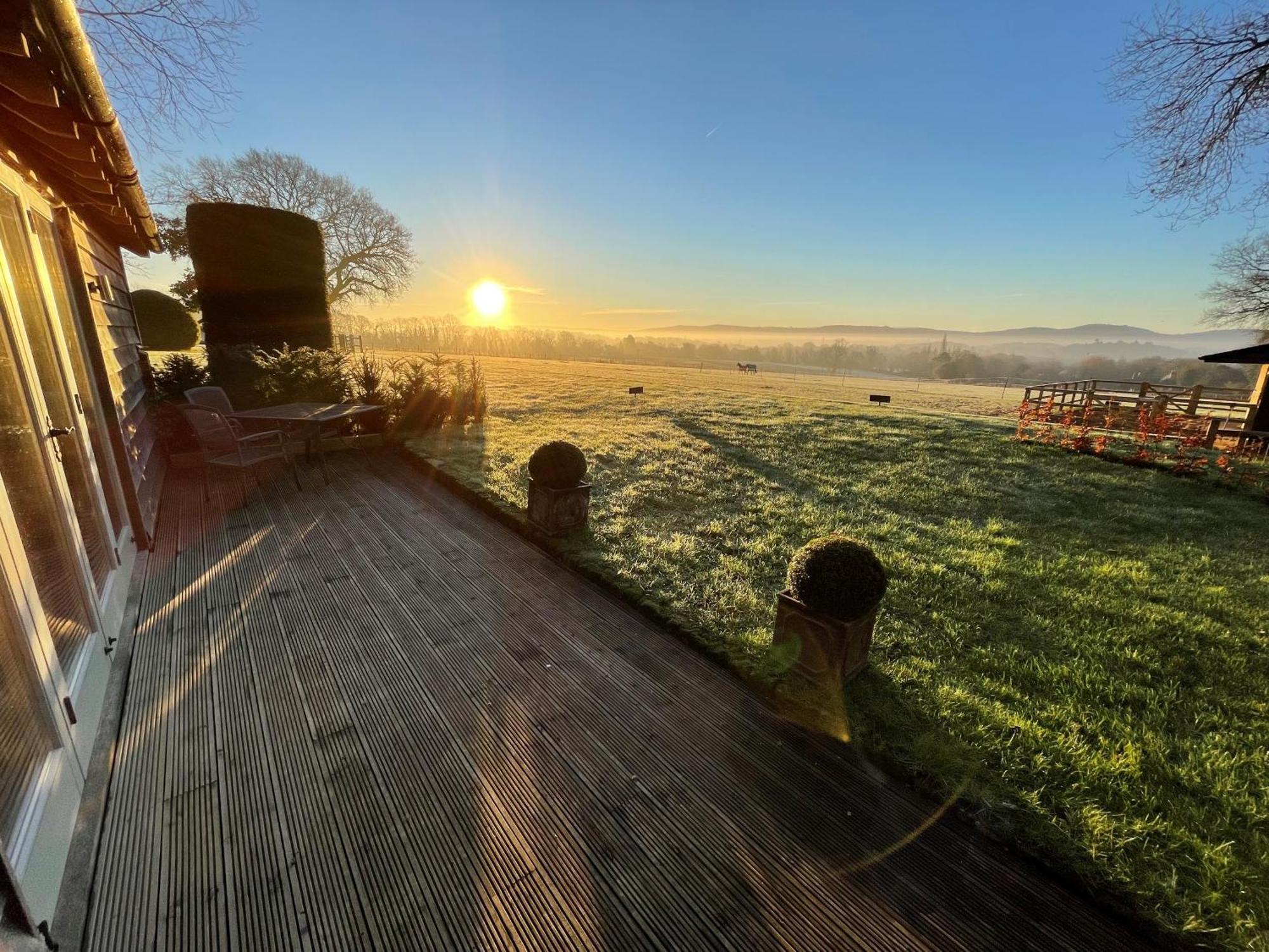 Stunning Cabin With Incredible Views Near Goodwood Rogate Eksteriør bilde