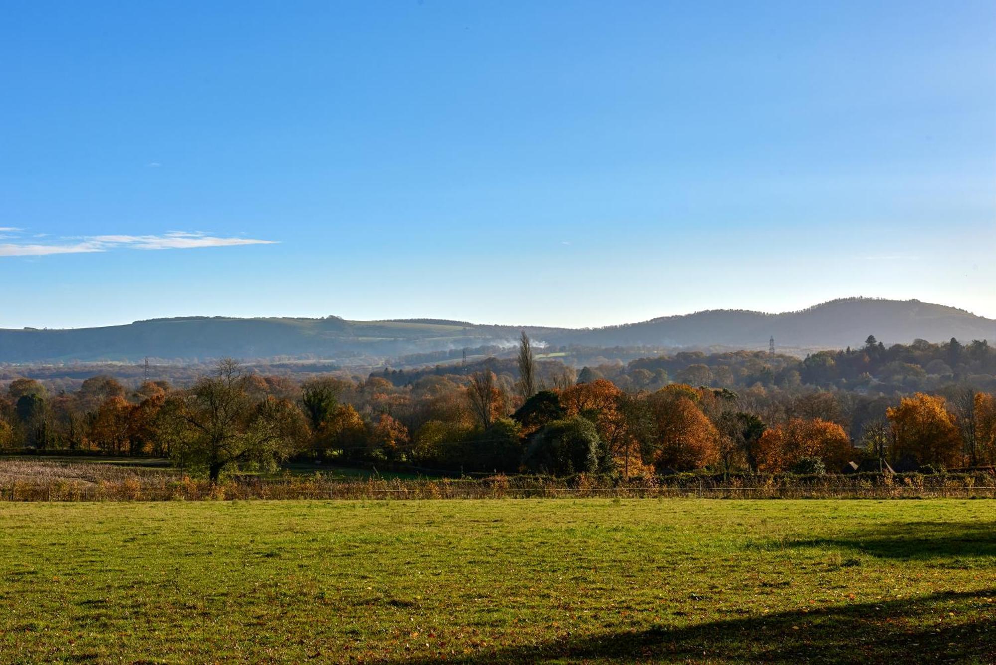 Stunning Cabin With Incredible Views Near Goodwood Rogate Eksteriør bilde