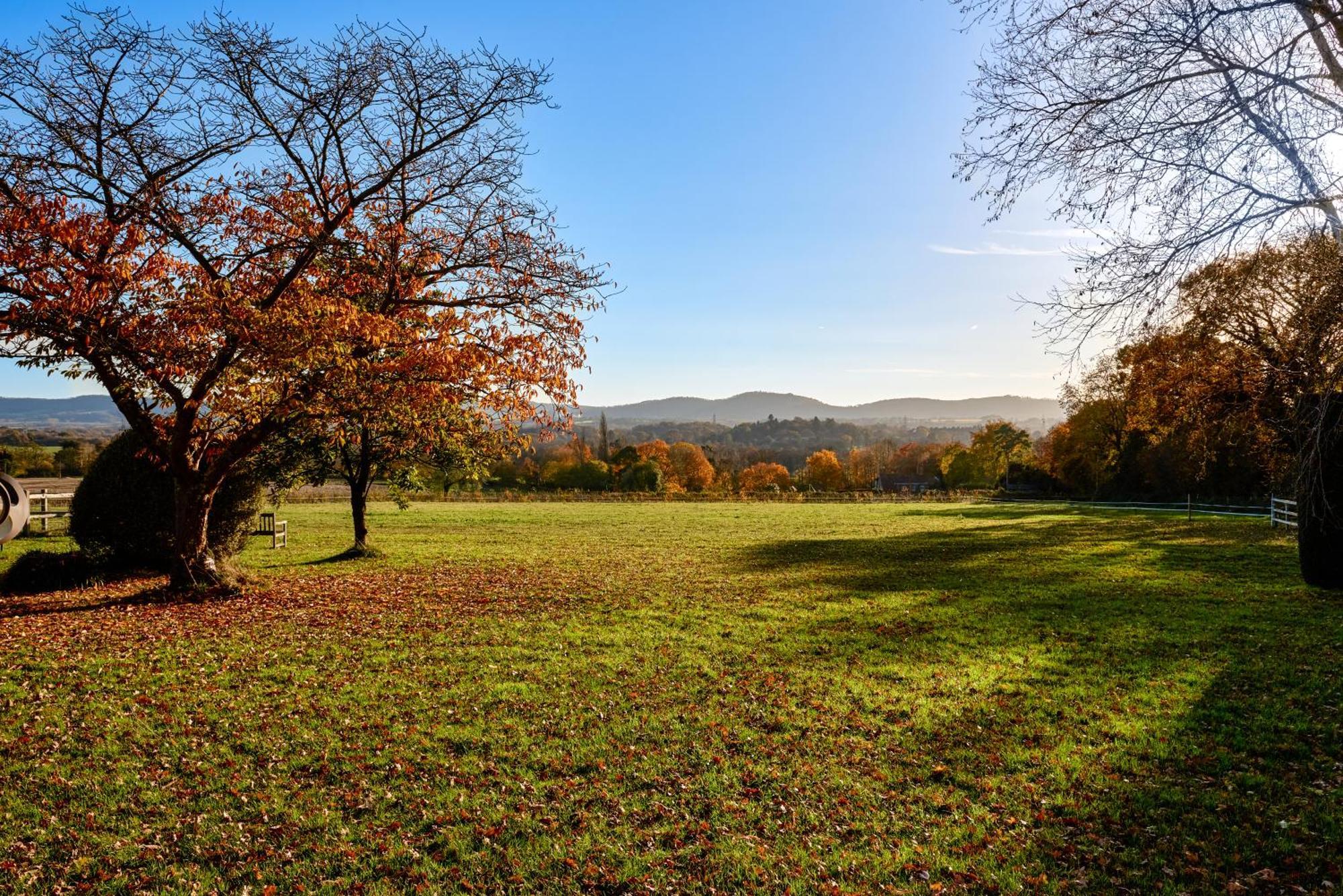 Stunning Cabin With Incredible Views Near Goodwood Rogate Eksteriør bilde