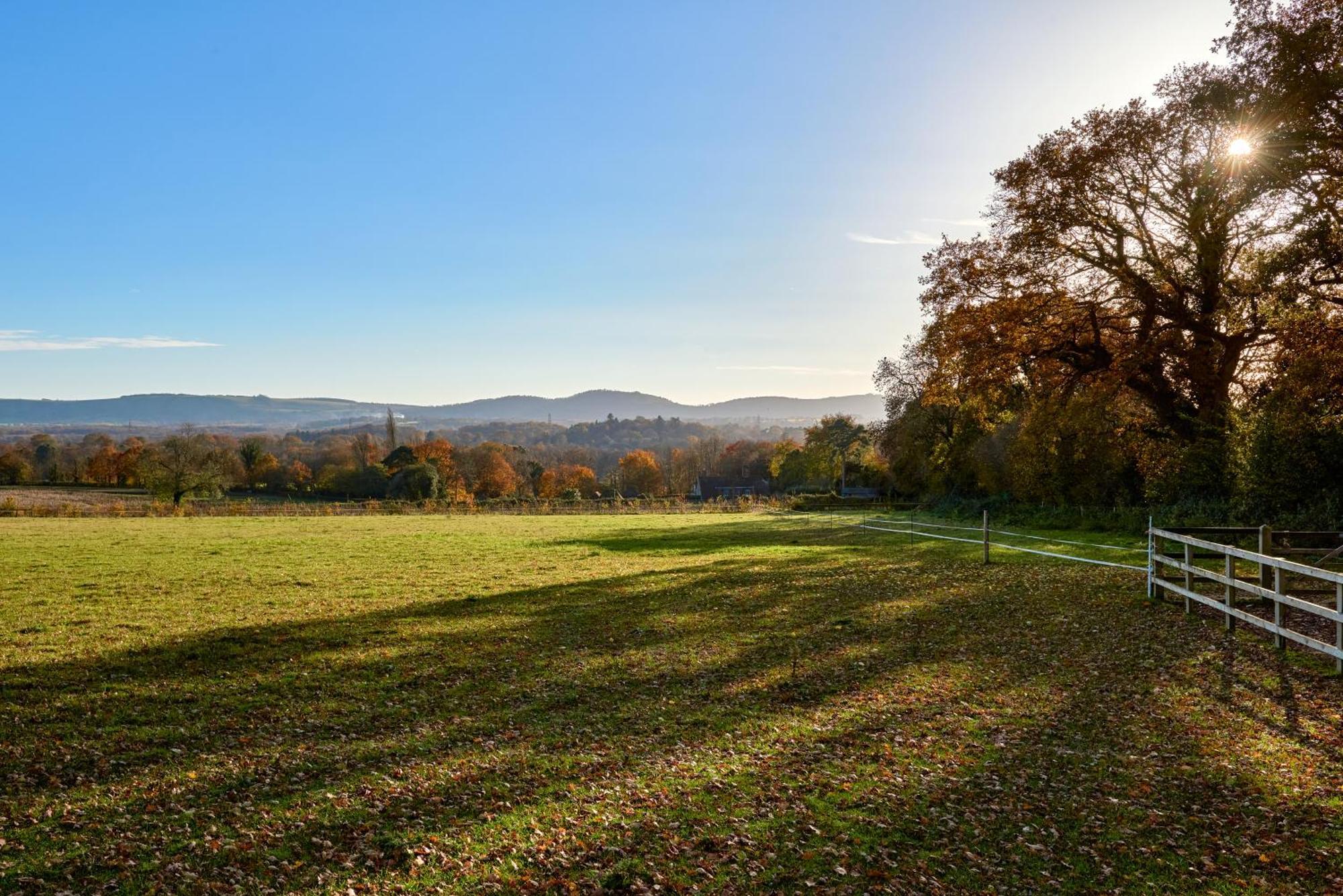 Stunning Cabin With Incredible Views Near Goodwood Rogate Eksteriør bilde