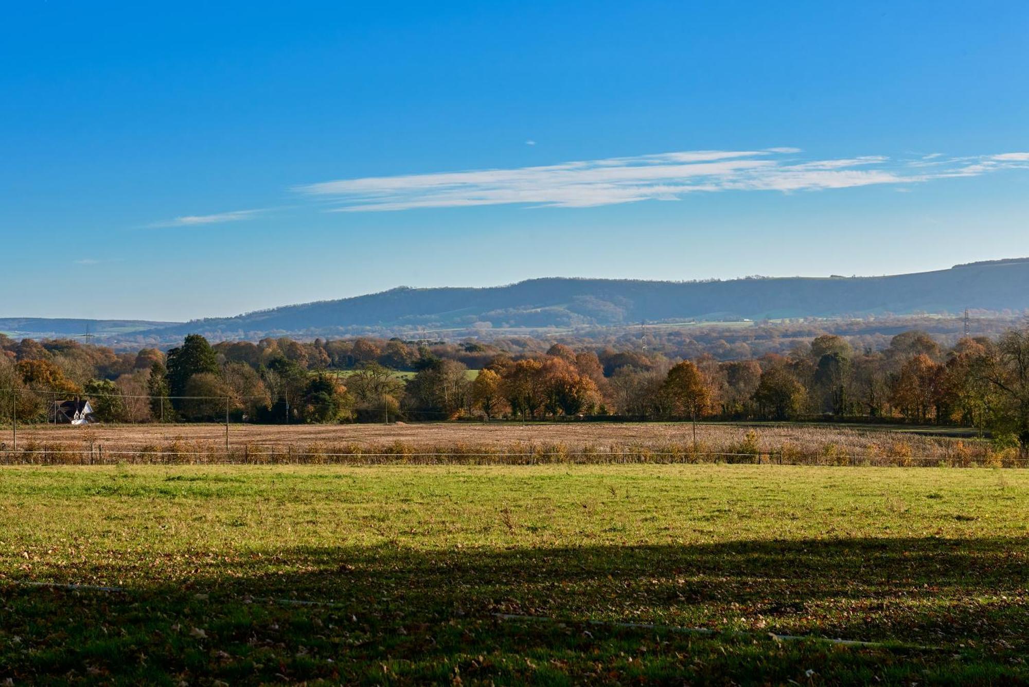 Stunning Cabin With Incredible Views Near Goodwood Rogate Eksteriør bilde