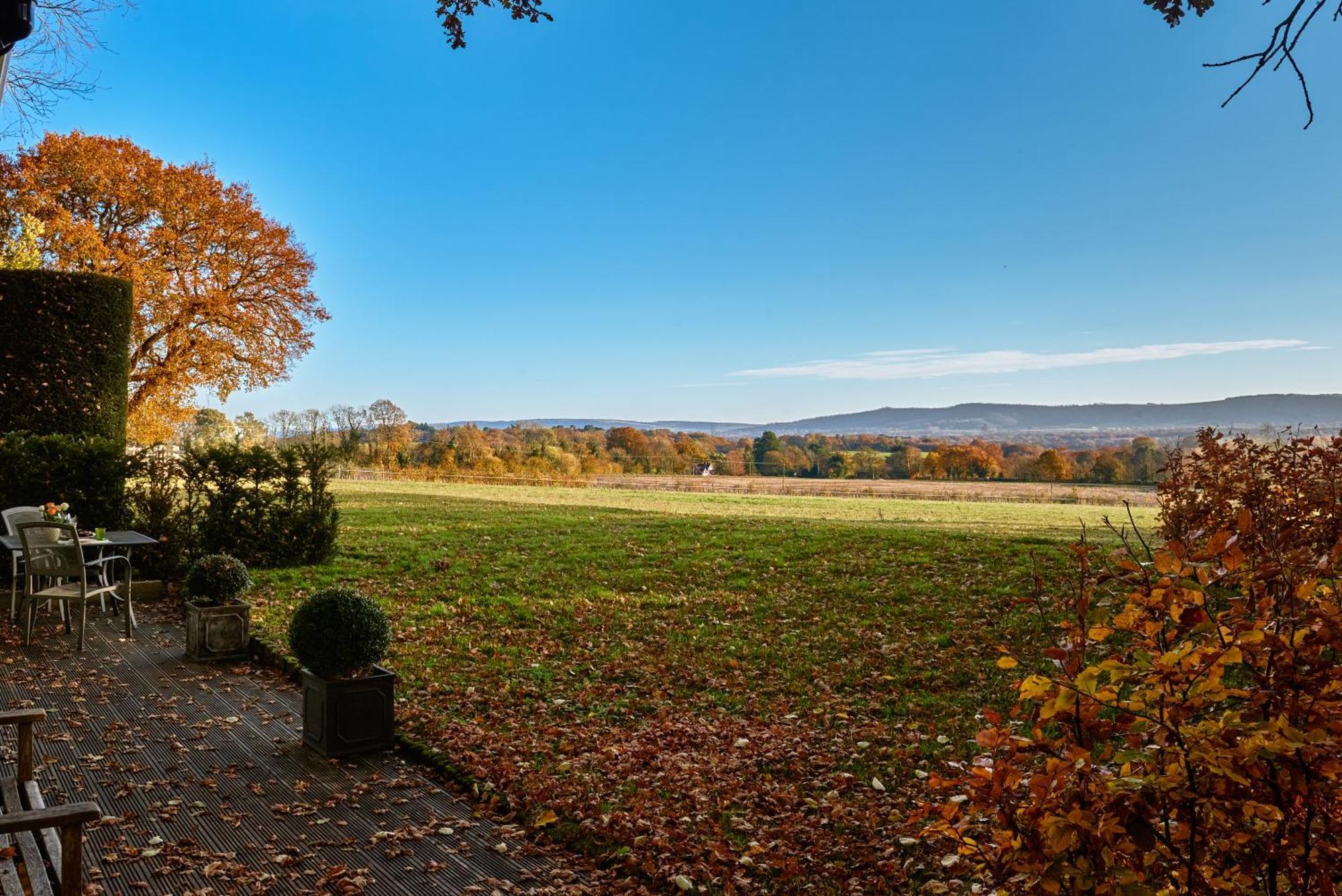 Stunning Cabin With Incredible Views Near Goodwood Rogate Eksteriør bilde