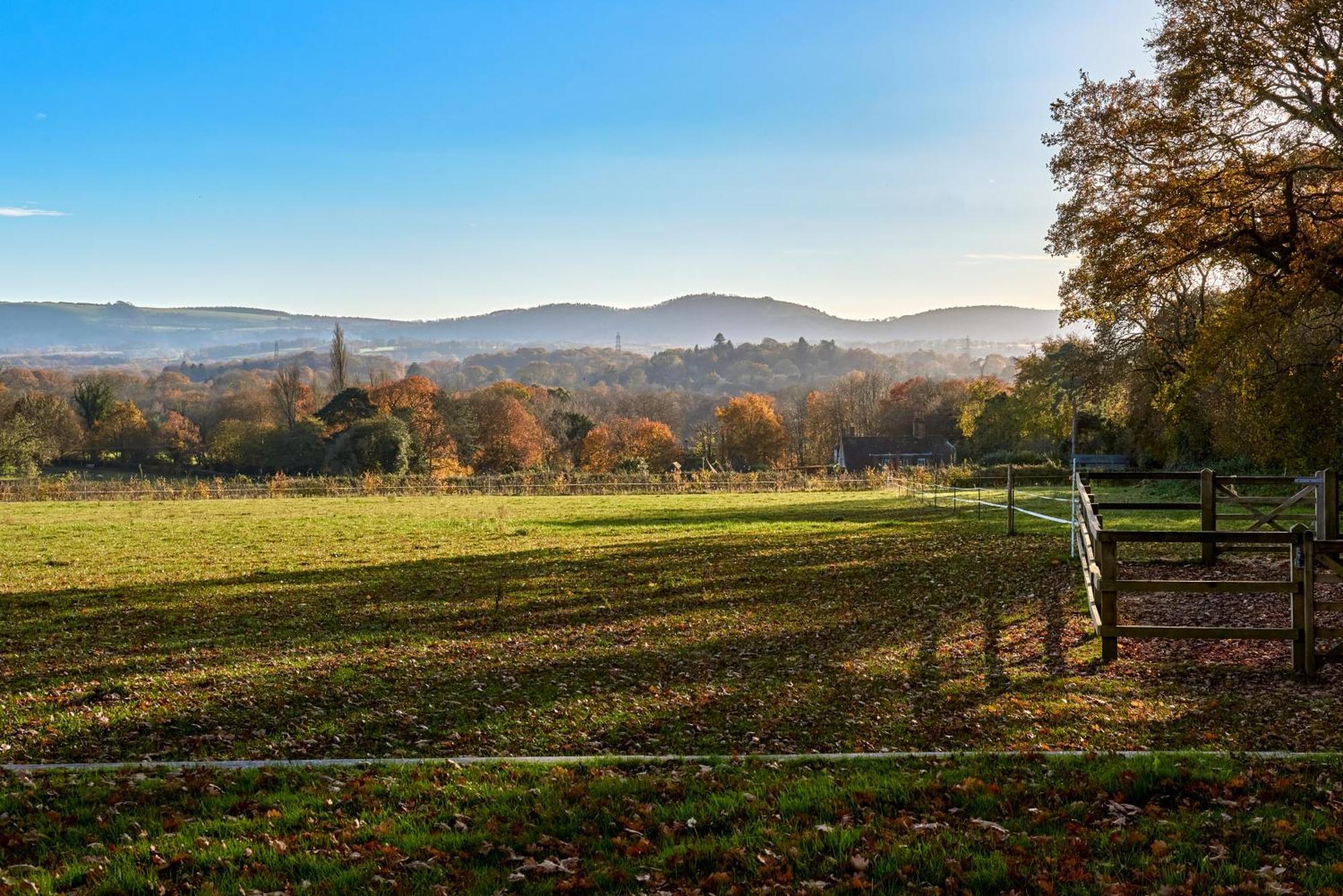 Stunning Cabin With Incredible Views Near Goodwood Rogate Eksteriør bilde