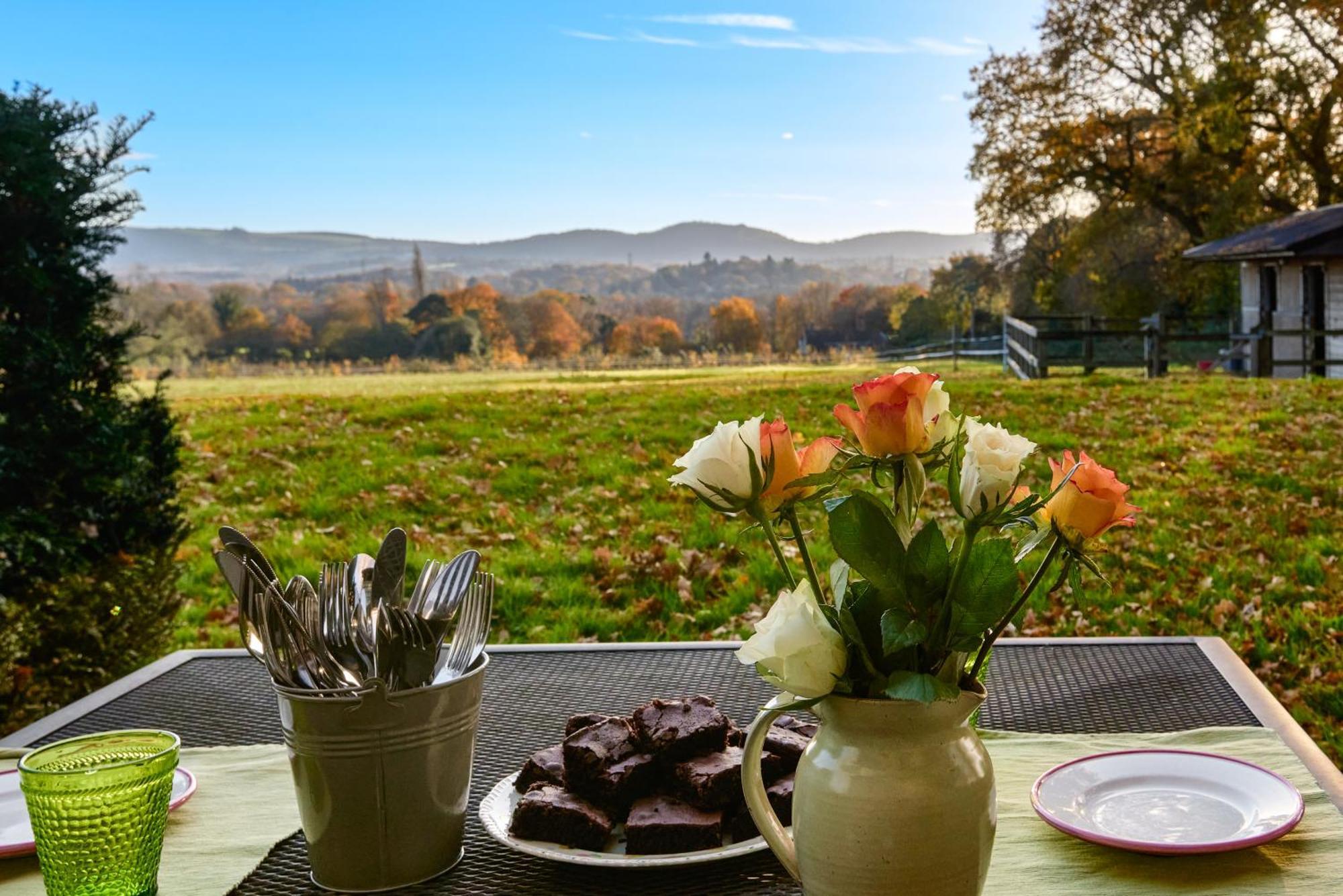 Stunning Cabin With Incredible Views Near Goodwood Rogate Eksteriør bilde