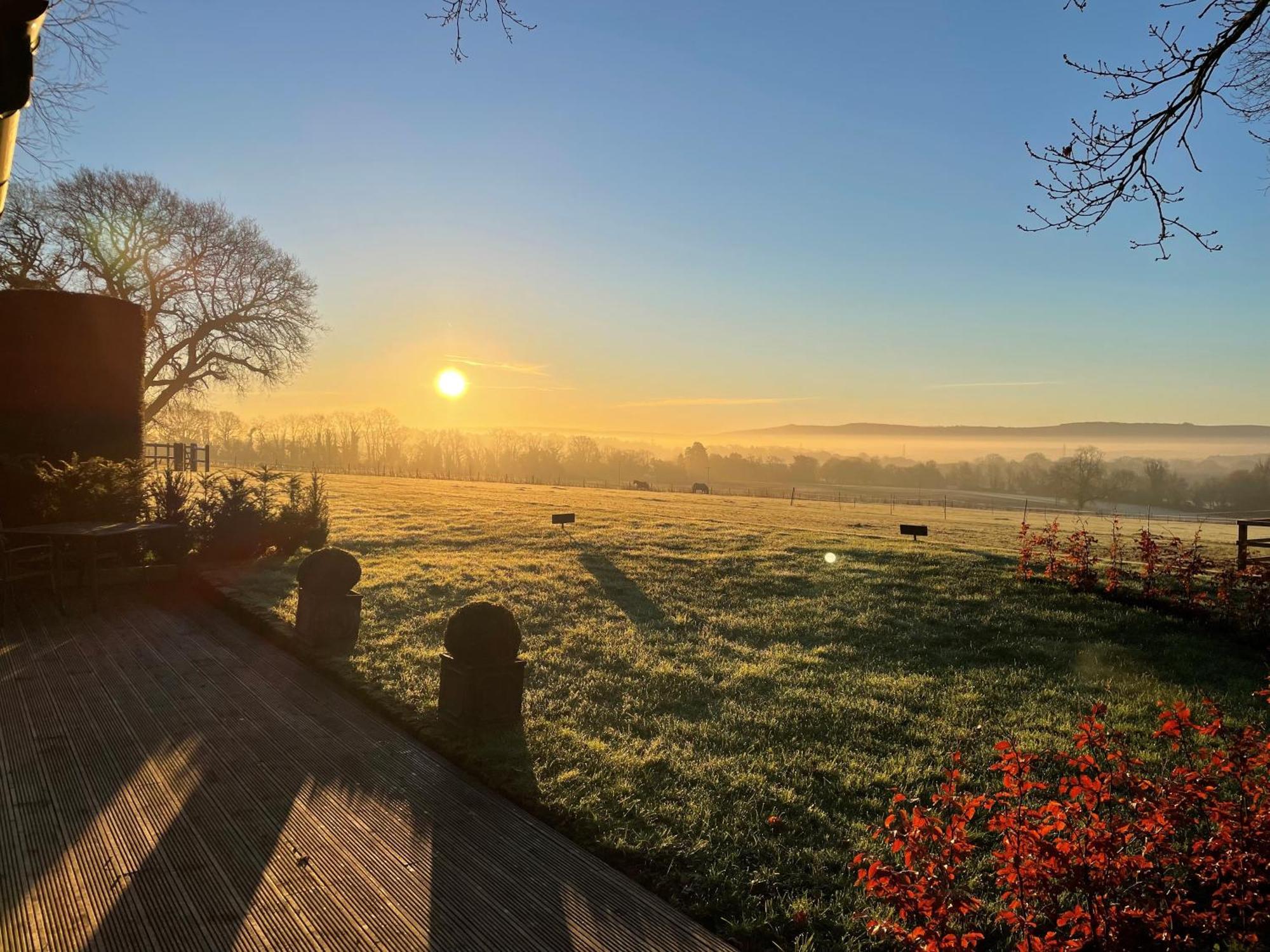 Stunning Cabin With Incredible Views Near Goodwood Rogate Eksteriør bilde